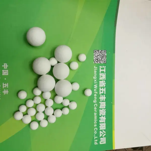 ��Ӧ��������������