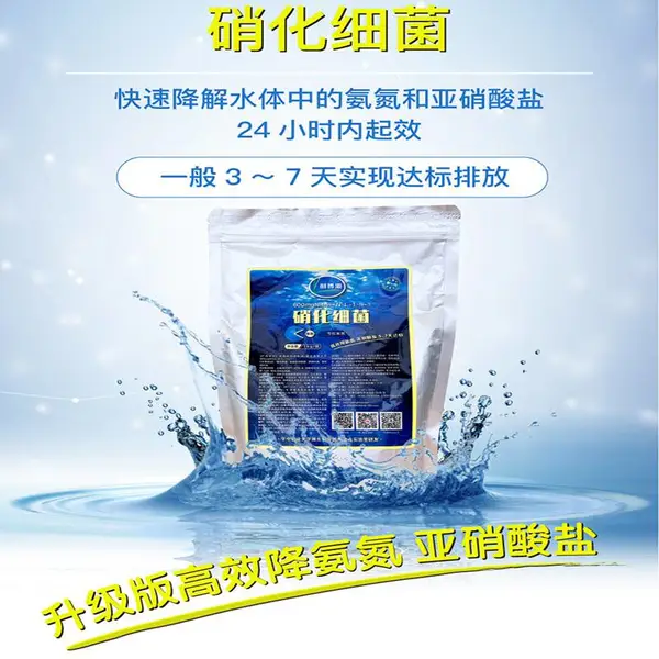 生活工业污水降氨氮硝化细菌 养殖污水降亚硝酸盐硝化细菌