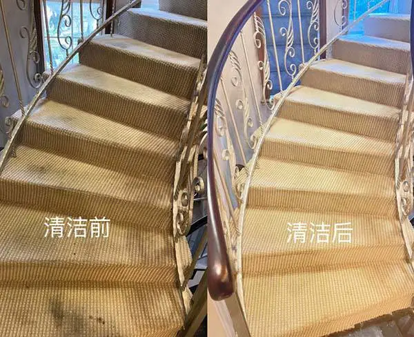 �Ϸʵ�̺��ϴ-������̺��ϴ-���ﱣ��(�Ƽ��̼�)