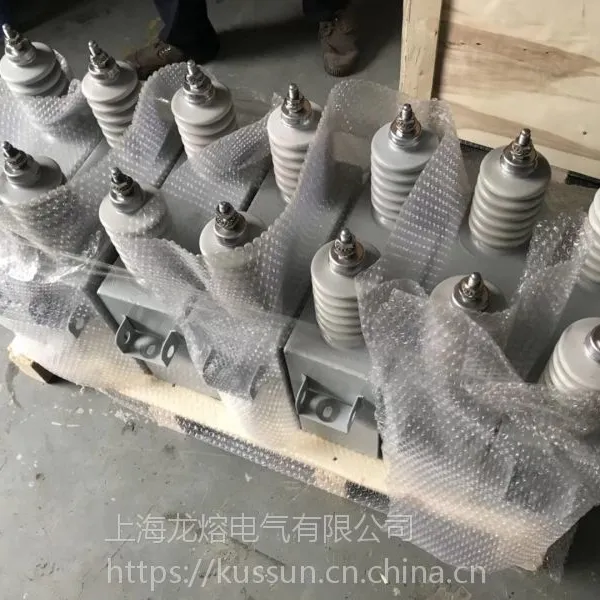 ���� ��׼�̱� ������ð �Ϻ����۸�ѹ��������BFM6.3-100-1W