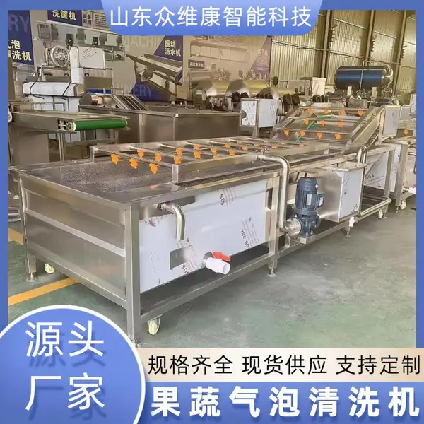 杨梅苹果气泡喷淋清洗机 白菜油菜净菜机 辣椒香菇清洗震动沥水机