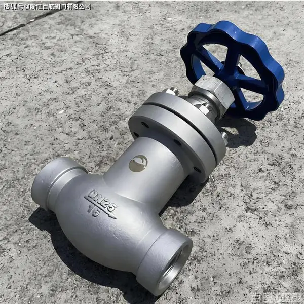 �ֶ���WJ10F-1.6P�ṹ����������˽�ֹ����ʹ������