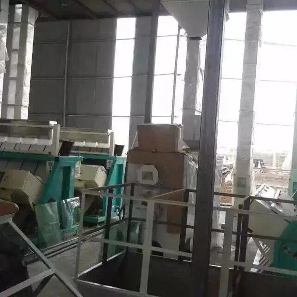 ���� ����ɫѡ��,����ɫѡ��,����ɫѡ��,ݯ��ɫѡ��,����ɫѡ��