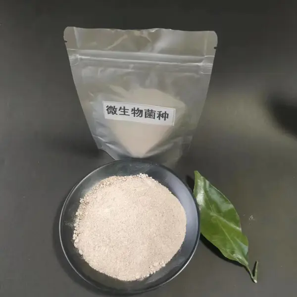 ***多种行业水处理 菌种六大优势国宏现货一票制