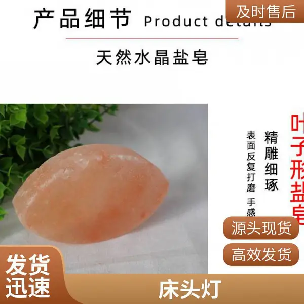 诚善 智能触控LED台灯学习专用学生阅读灯书桌宿舍折叠卧室床头灯