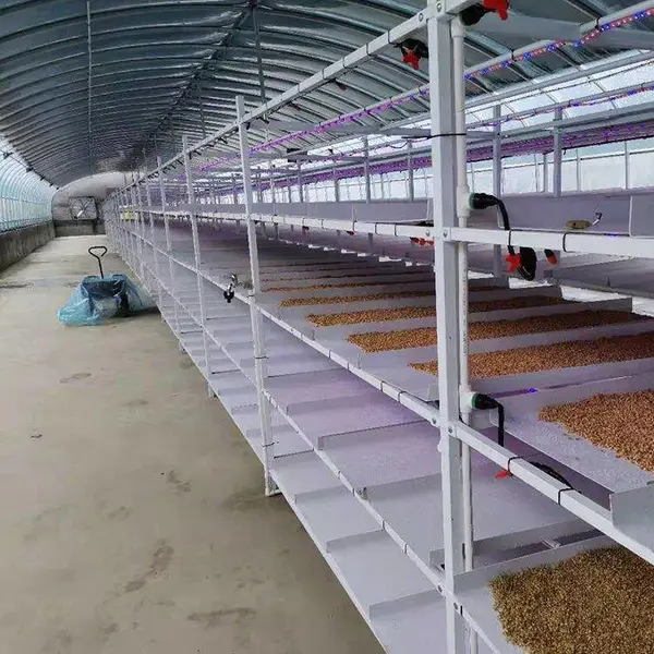 集装箱培育牧草设备 集装箱培育植物 水培牧草如何持续种植