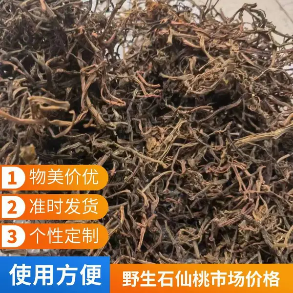 野生石仙桃/石蝉草野生中药材一手货源产地批发奇弘堂