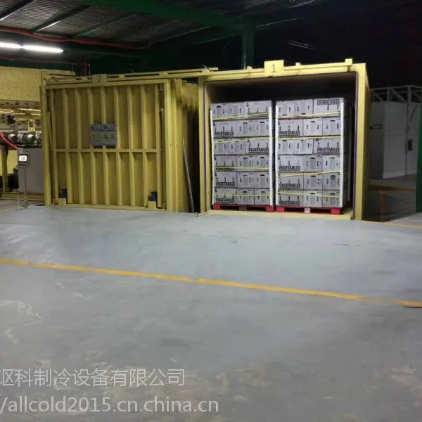 广东菜心专用果蔬真空预冷机/快速降温打冷延长保鲜期订购热线8618928220791