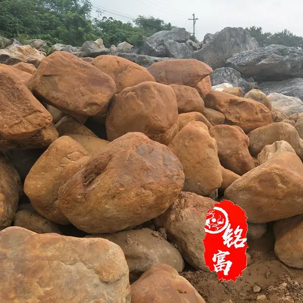 浙江宁波黄蜡石吨位原石 宁波黄蜡石小区造景 宁波黄蜡石大型堆货场
