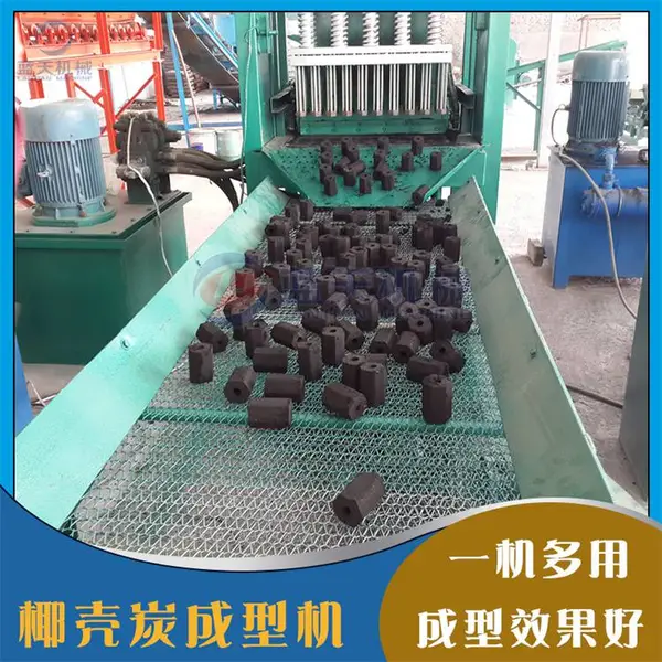 椰壳炭成型机 大型液压椰子壳炭压块机 椰壳烧烤炭环保碳制棒生产机