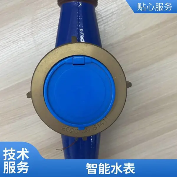 ��ҵ��������Զ�������� ˫����������ˮ�� IP68���� 485����