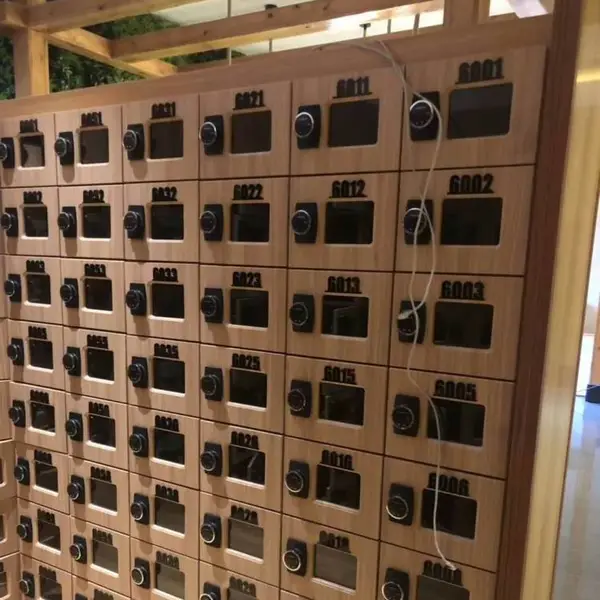 集中刷卡控制更衣柜储物柜联网锁自助取牌产品欢迎来厂考察