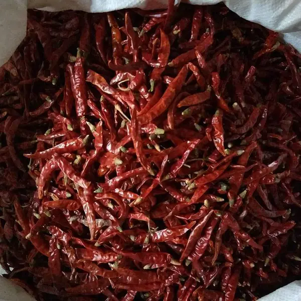 印度魔鬼椒干辣椒超辣印度辣王变态辣干货可磨粉餐饮配送现货