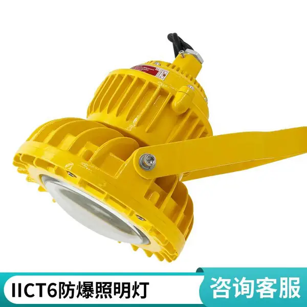 防爆投光灯 户外储罐区大功率 LED 防爆泛光灯 铝合金壳体防水