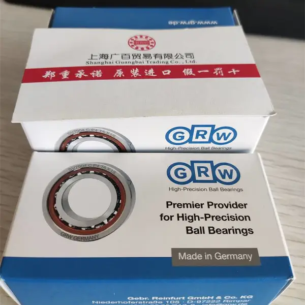 德国GRW轴承SS3/16-2Z SS699-2Z燃气仪表轴承EZO轴承