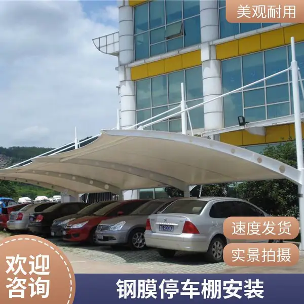 钢膜结构电动车棚 新启自行车棚 膜结构 钢梁膜布厂家