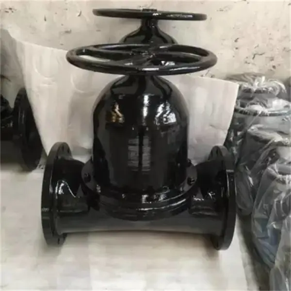 ����G41F46-16C DN125 �ķ���Ĥ��ͼƬ,�ṹ��׼