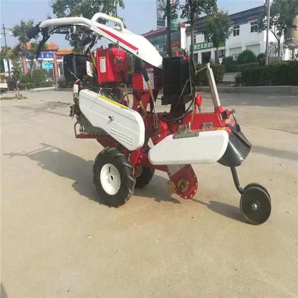 ��лƽ����������� �����ֲ���������� ������԰������