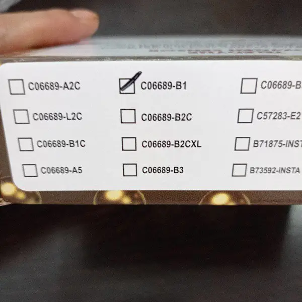 Teledyne氧传感器L-2C
