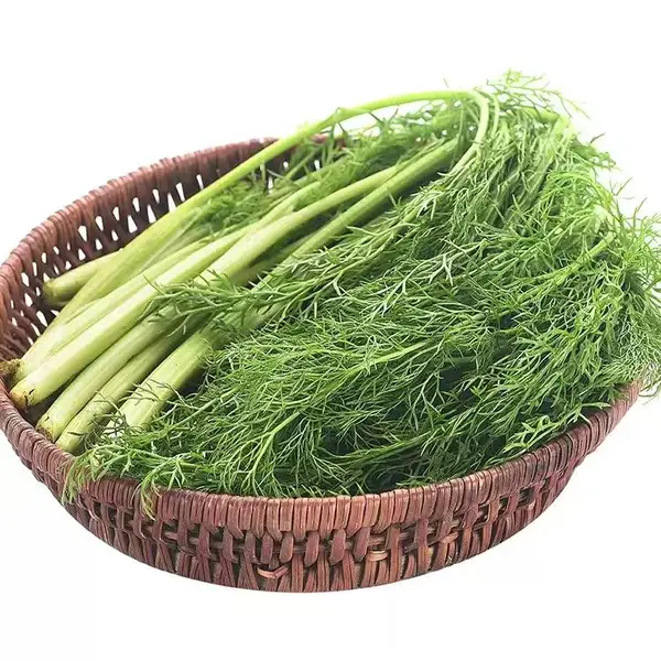 西安职工新鲜蔬菜食材配送,西安食材配送