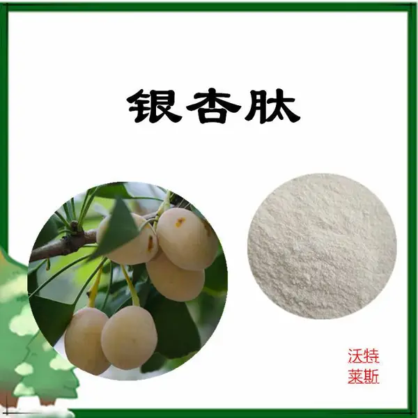 沃特莱斯生物 银杏肽 小分子低聚肽 多肽 白色粉末