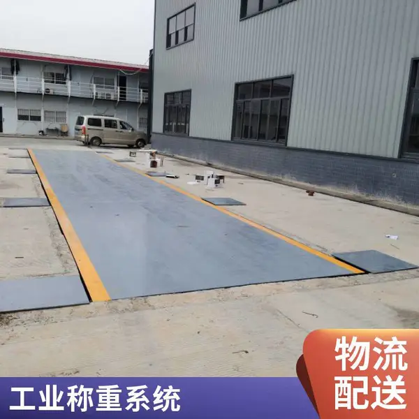 揭阳电子地磅 1-200吨 防腐蚀设计 各规格尺寸接受定做