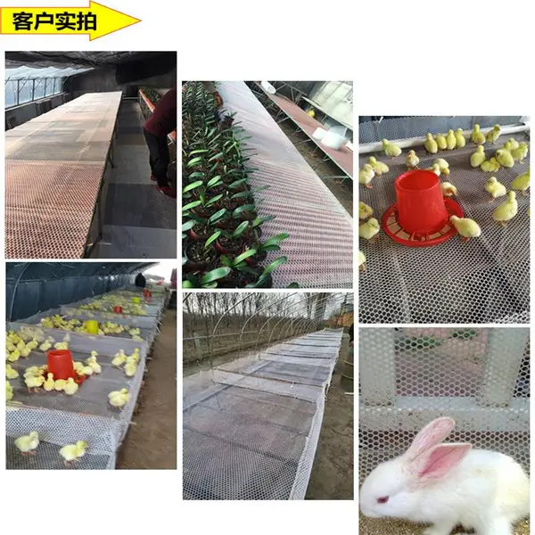 纯料塑料平网 白色塑料漏粪网 阳台小猫防坠网