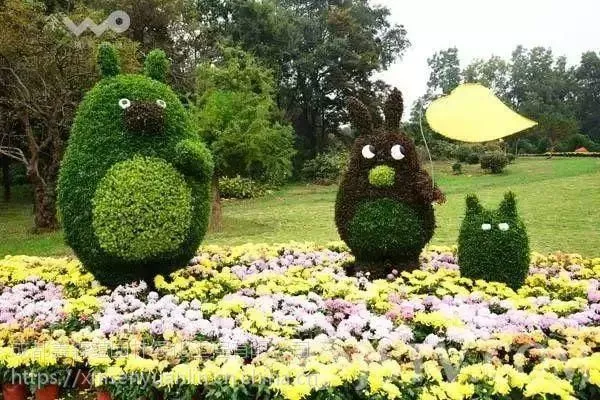 定制乐器 钢琴 小提琴以及各种字体 动物形状都可以 材质真植物哦