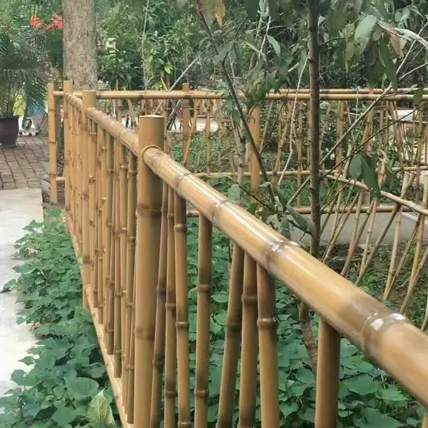 ���������� ������ʳ� ��п������ �Ƿ���������