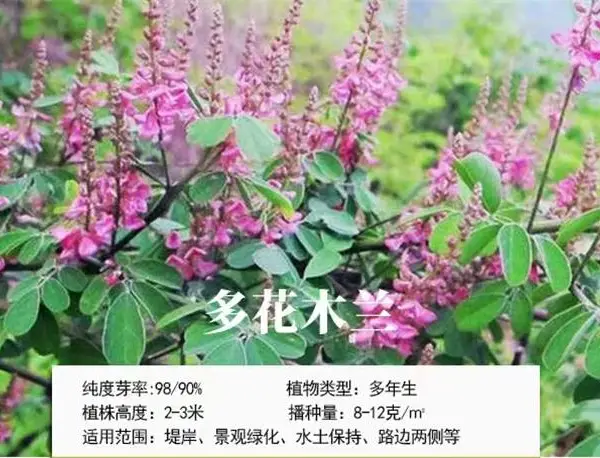 景德镇杂草种子代理分销