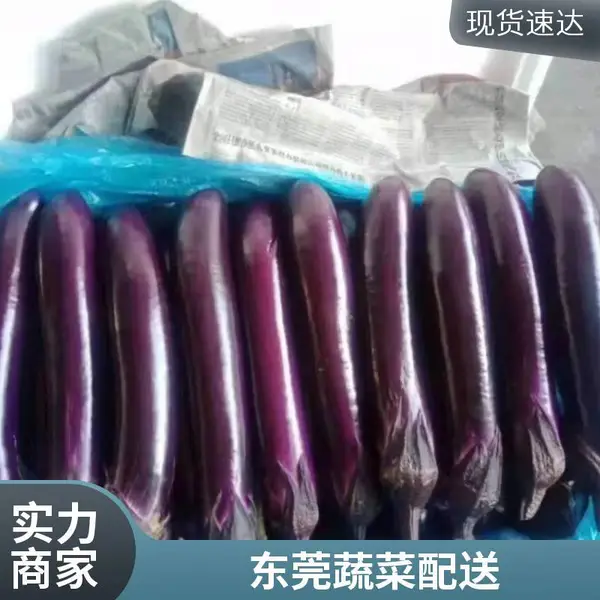 东莞常平食堂蔬菜配送 寮步学校食堂承包 企业团餐配送