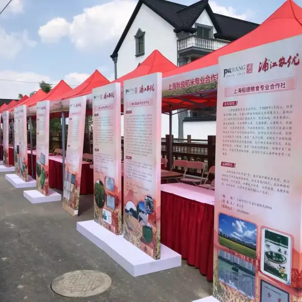 奇彩 帐篷 3*3遮雨棚 欧式帐篷 遮阳蓬 广告帐篷 集市摊位租赁义卖帐篷
