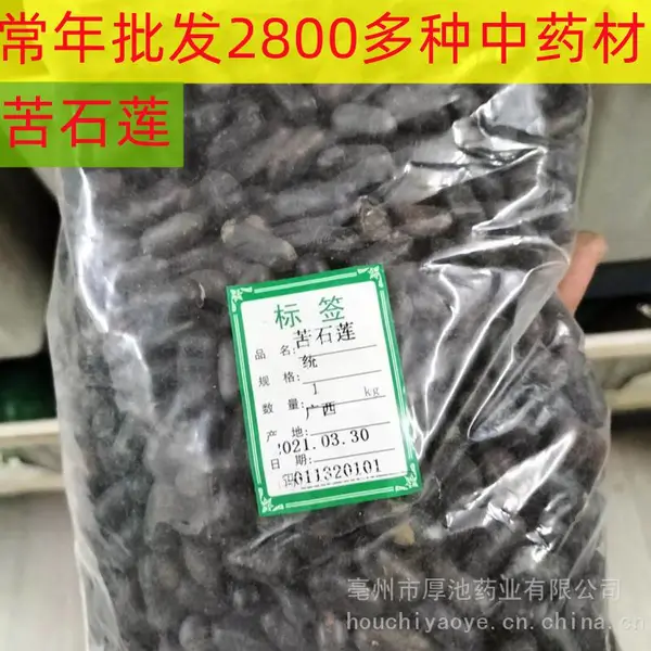 中药材 苦石莲 多少钱一斤 厚池药业 供应 辣木籽