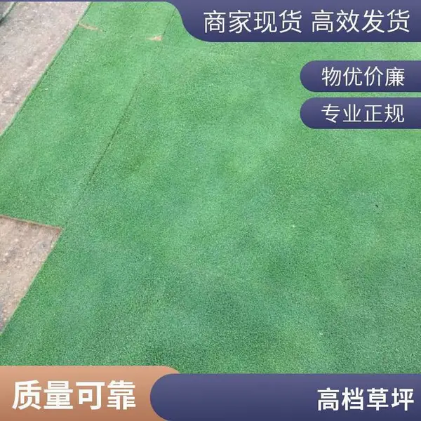别墅绿化草坪 耐踩踏易打理 基地百亩大马尼拉混播草皮