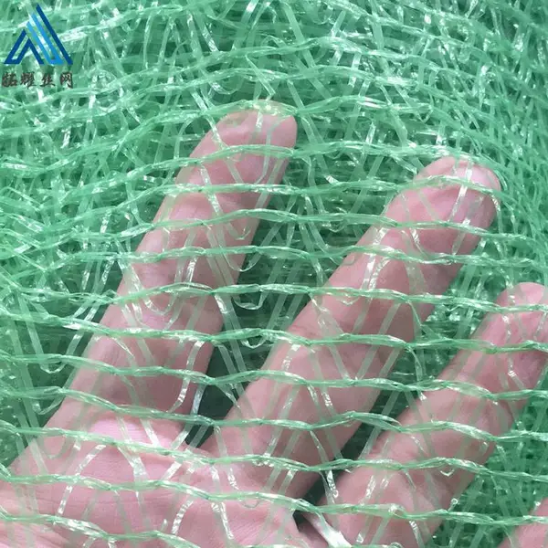ɳ���Ѹ���������/��˿������