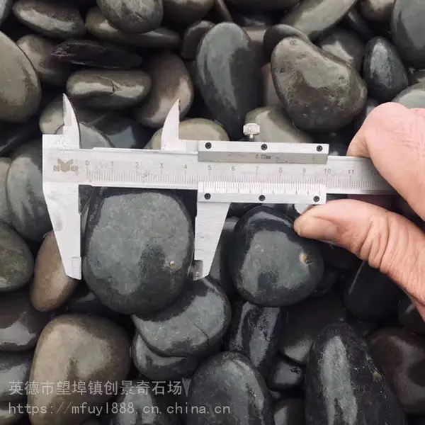 多种园林建设用石材-水洗鹅卵石杂色鹅卵石-汕头抛光雨花石批发