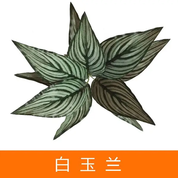 仿真植物墙面塑料假草坪装饰门店招牌店面绿植室内吊顶背景花墙体