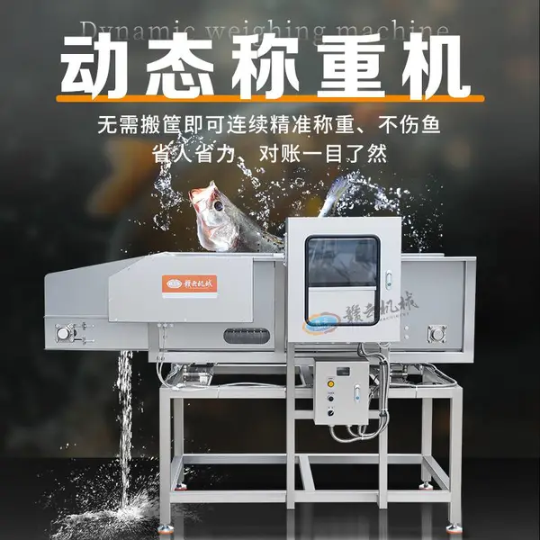 动态称重机 流水线检重秤 自动重量检测机械 鱼类前处理机 水产设备
