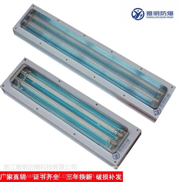 (IIC级) BJY-2x36W BJY-2x28W防爆洁净荧光灯雅明