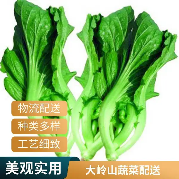 蔬菜配送 东城工地食堂承包公司 营养快餐配送