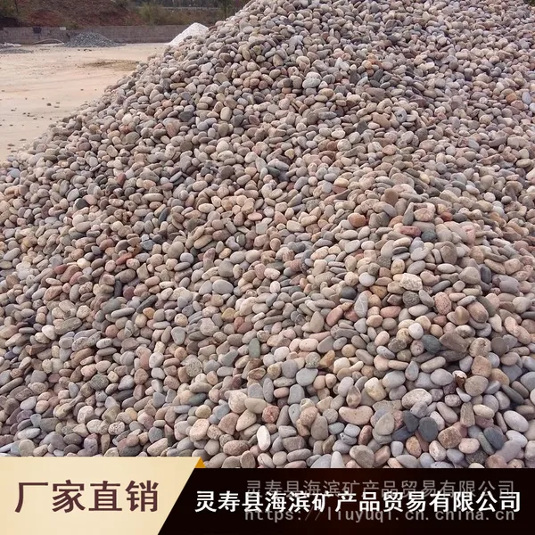 天然鹅卵石 安阳铺路鹅卵石 垫层用鹅卵石 机制白色鹅卵石 量大优惠
