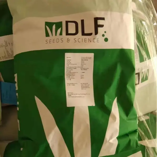 出售风铃草花籽 三叶草 瑞文德草种子 茴香小叶茼蒿