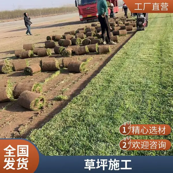 门头沟园林景观设计施工户外别墅花园设计草坪基地