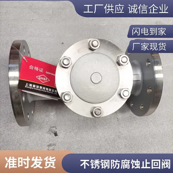 H44W-10P DN20法兰连接形式不锈钢304材质旋启式 止回阀