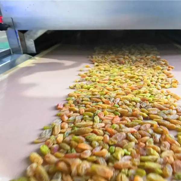 黄豆微波烘干设备 食品微波烘干设备 定制生产 沃斯特微波