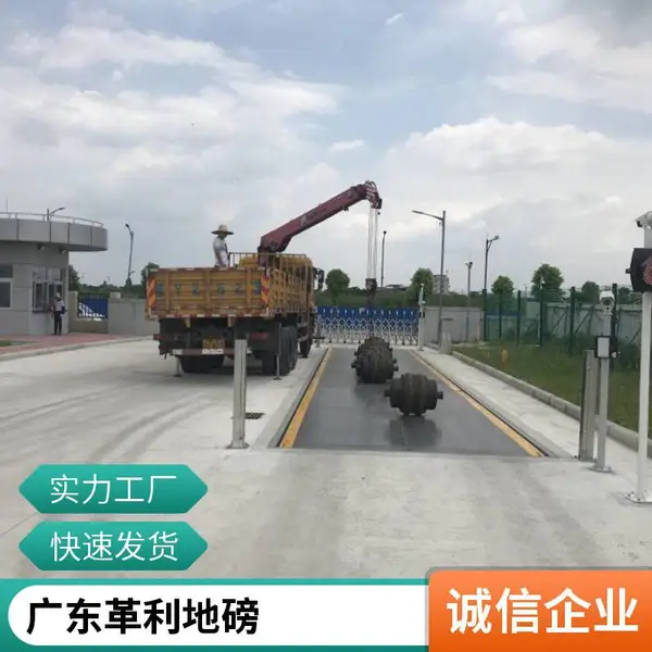 湛江地磅工厂 60吨数字地磅 防雷防浪涌 支持定制