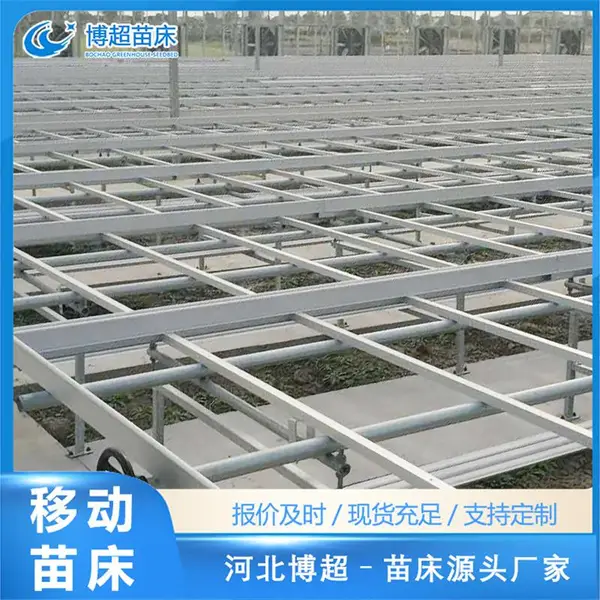 潮汐移动苗床 育苗大棚苗床 温室工程建造育苗床温室配套设施厂家