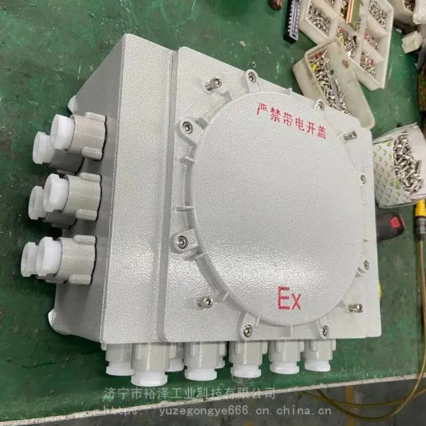 防爆接线箱 仪表箱端子箱过线箱规格型号齐全 防爆接线空箱