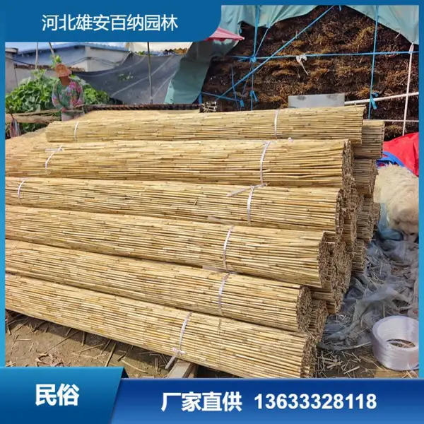 供应苇箔 泥水箔 铺房箔 芦苇箔卷 2米长 盖房 防潮 全国发货 定制