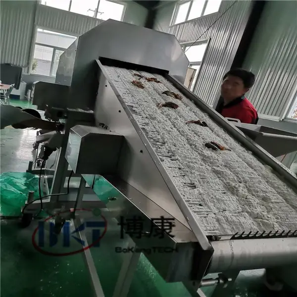 鸡米花裹粉机 小酥肉上粉机 全自动滚筒上粉机 重组鸡米花专用粘粉机